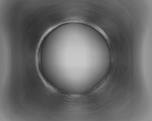 X0000110911144200906181001