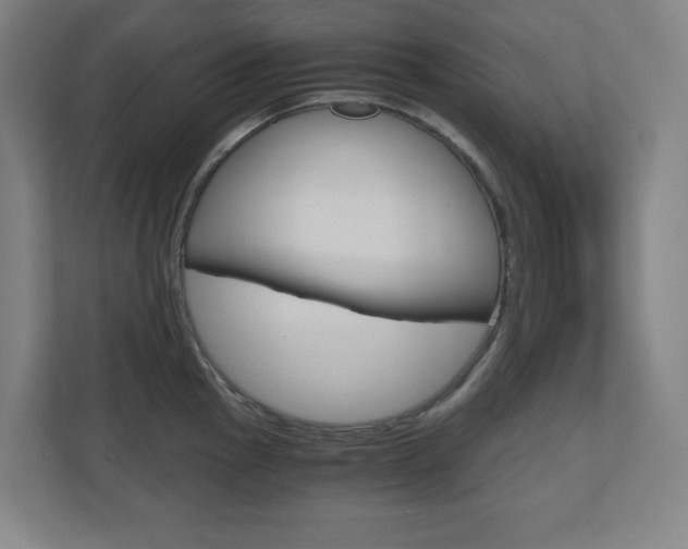 X0000110911145200906181001