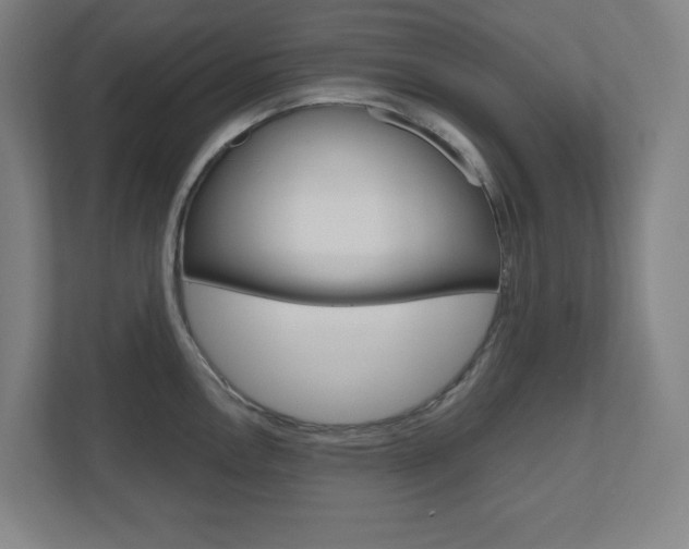 X0000110911146200906181001