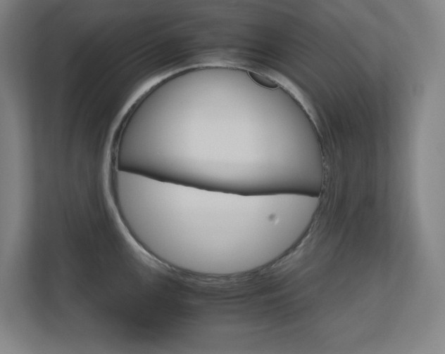 X0000110911147200906181001