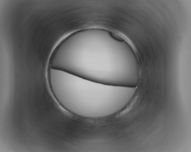 X0000110911149200906181001