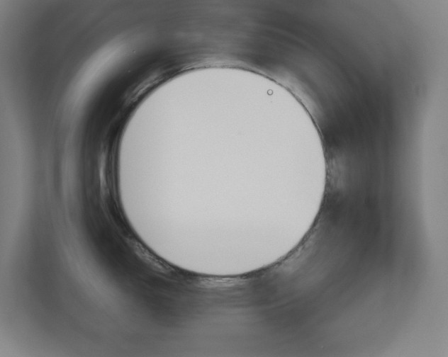 X0000110911150200906181001