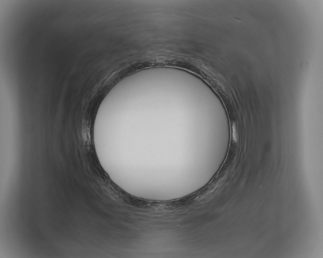 X0000110911155200906181000