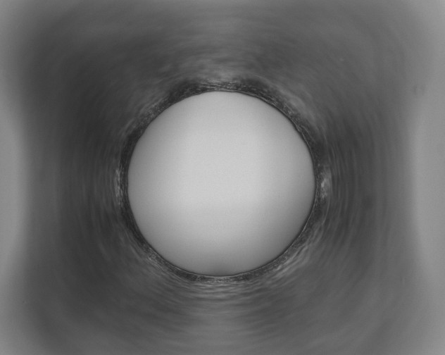 X0000110911156200906181000