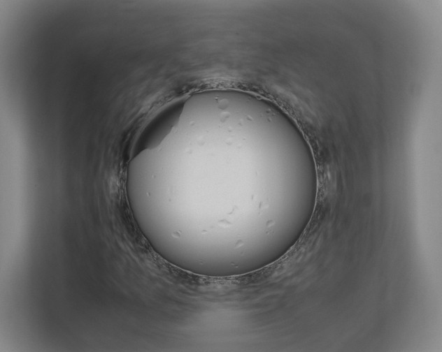 X0000110911157200906181000
