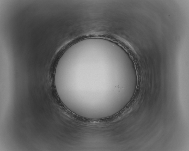 X0000110911160200906181000