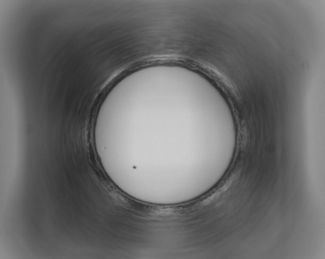 X0000110911162200906181000
