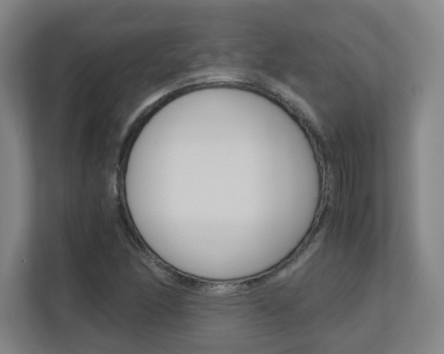 X0000110911166200906181000