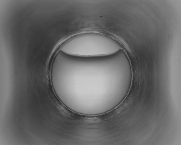 X0000110911168200906181000