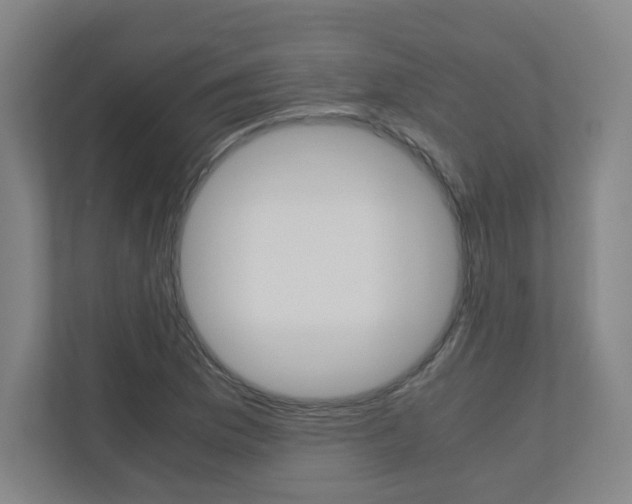 X0000110911169200906181000