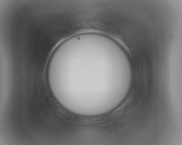 X0000110911173200906181000