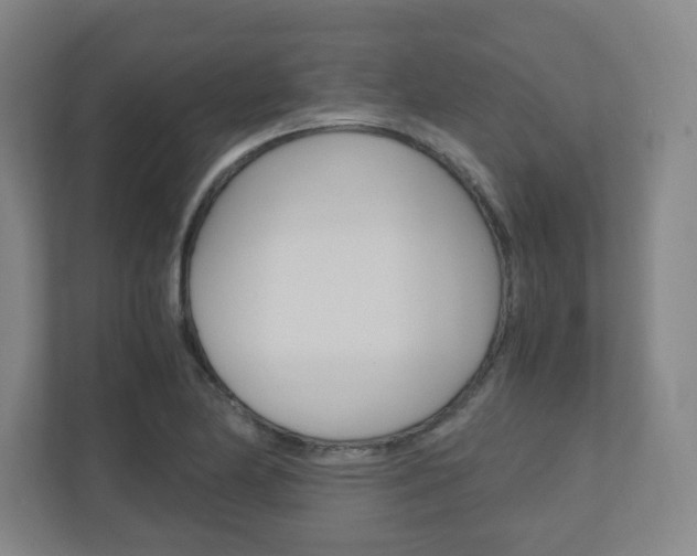 X0000110911174200906181000
