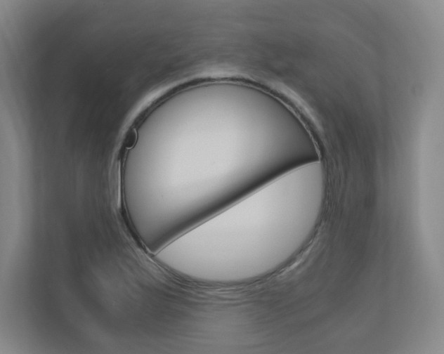 X0000110911175200906181000