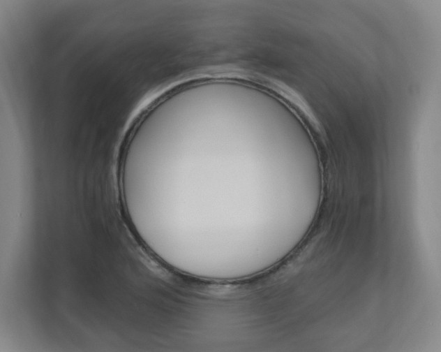 X0000110911176200906181000