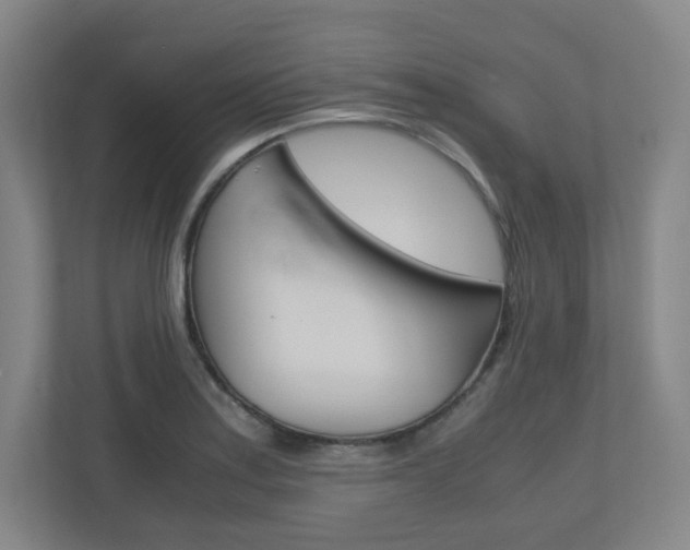 X0000110911179200906181000