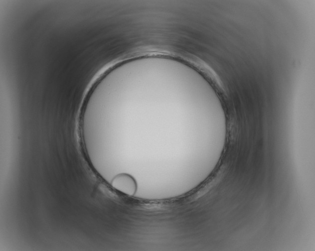 X0000110911182200906181000