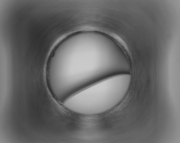X0000110911183200906181000