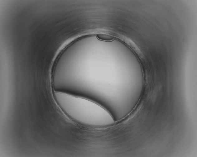 X0000110911184200906181000