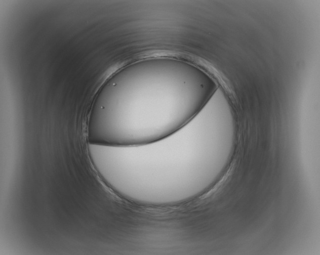 X0000110911185200906181000