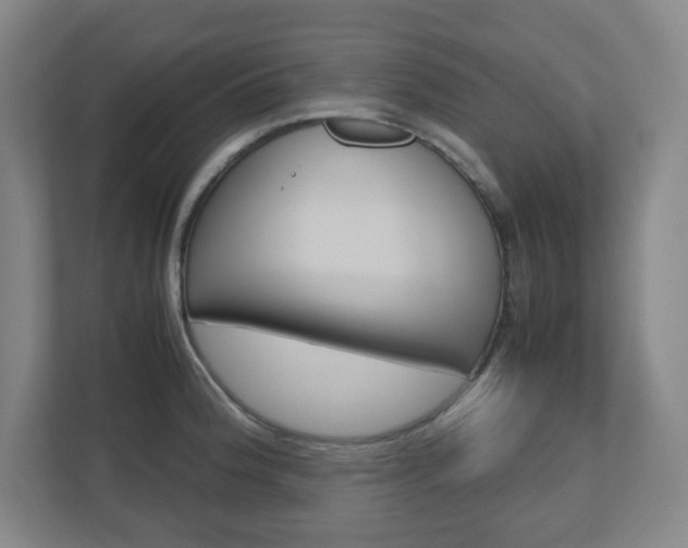 X0000110911188200906181000