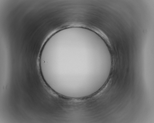 X0000110911190200906181000
