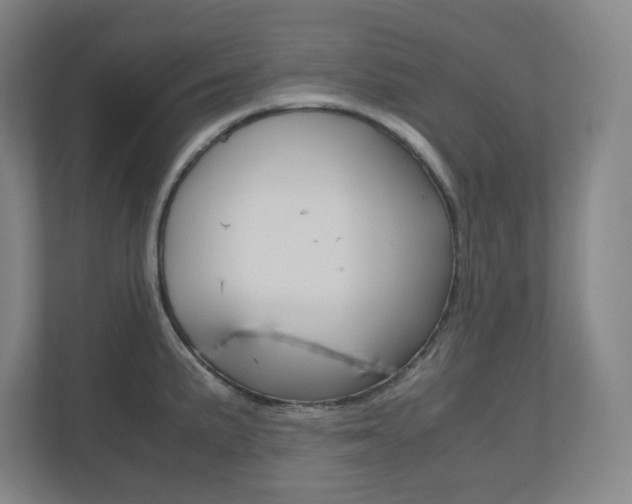 X0000110911191200906181000