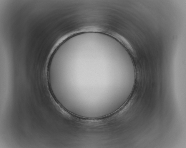 X0000110911192200906181000
