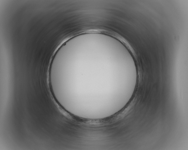 X0000110911194200906181000