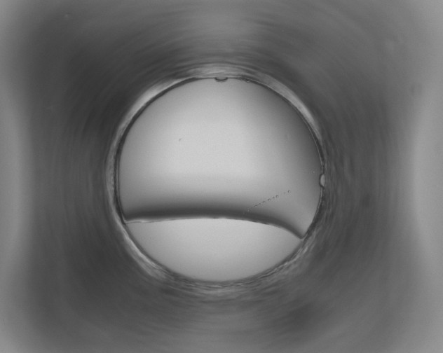 X0000110911195200906181000