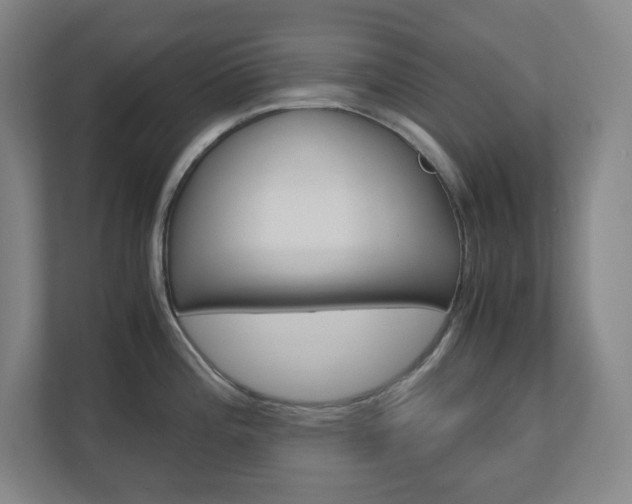 X0000110911196200906181000