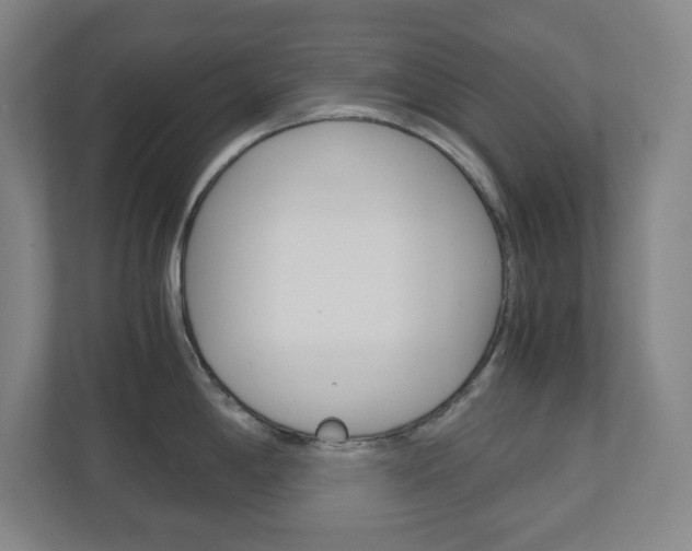 X0000110911198200906181000