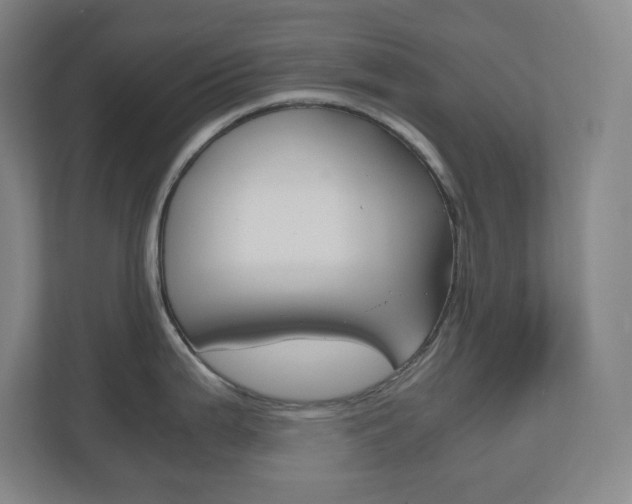 X0000110911199200906181000