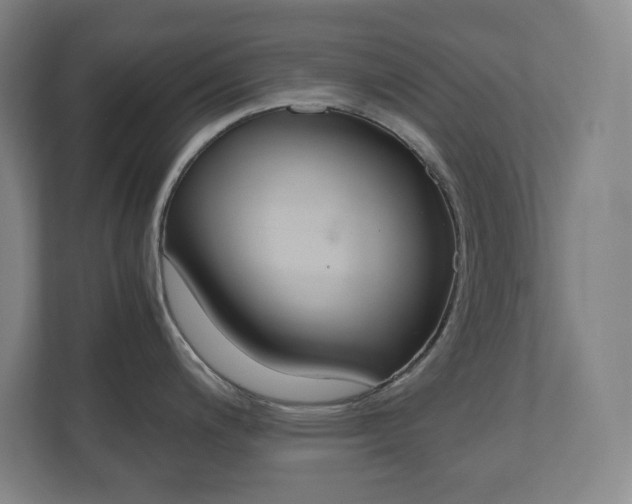 X0000110911200200906181000
