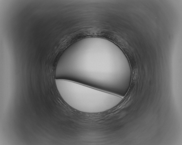 X0000110911202200906180959