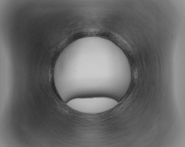 X0000110911204200906180959