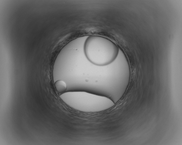 X0000110911205200906180959