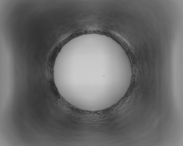 X0000110911207200906180959