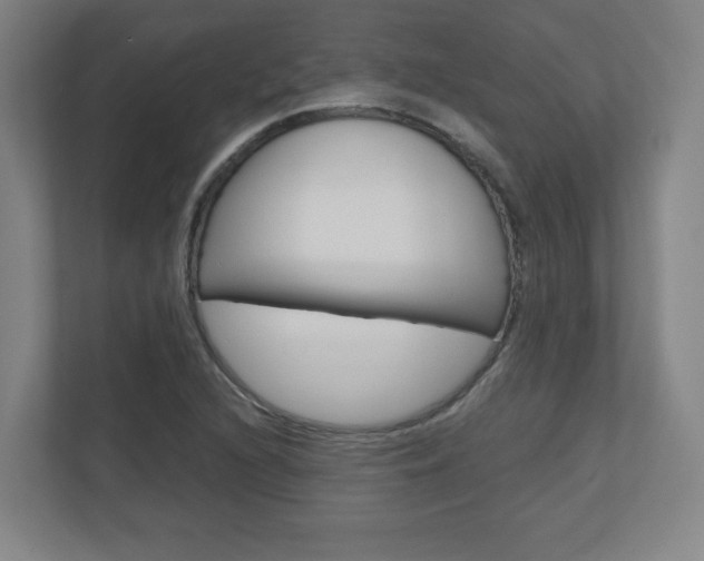 X0000110911216200906180959