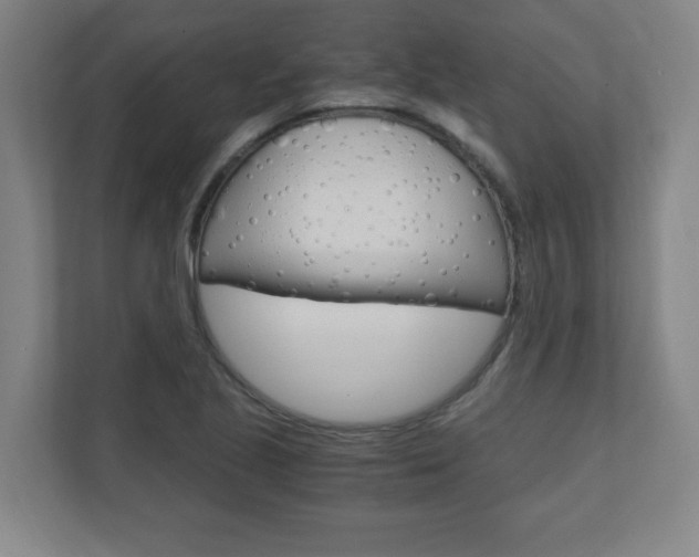 X0000110911221200906180959
