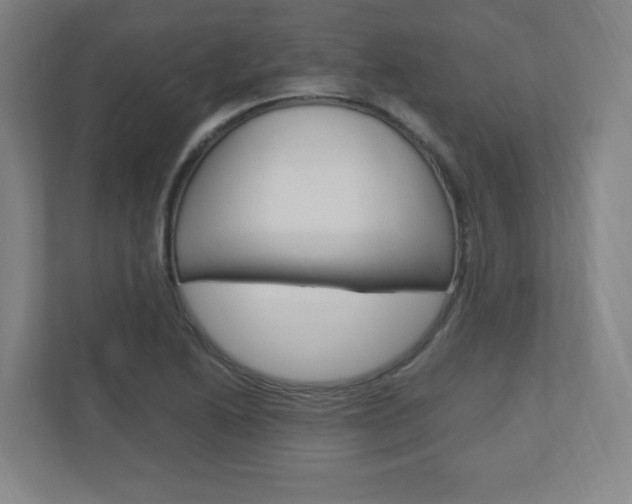 X0000110911222200906180959