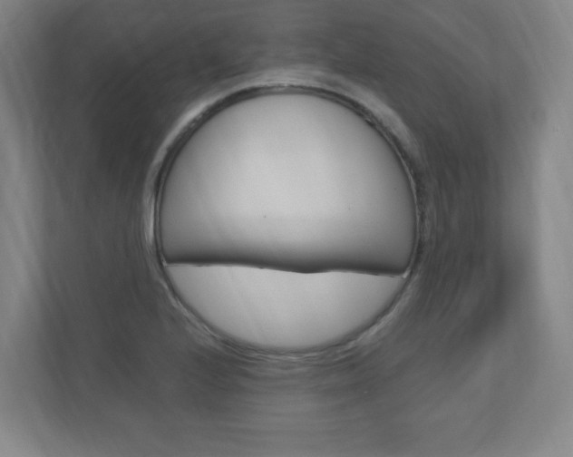 X0000110911224200906180959