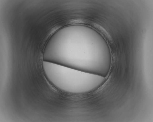 X0000110911225200906180959