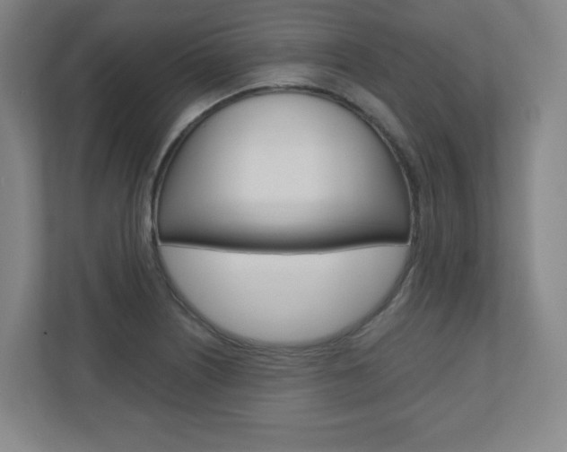 X0000110911226200906180959