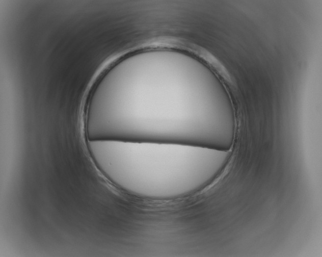 X0000110911232200906180959