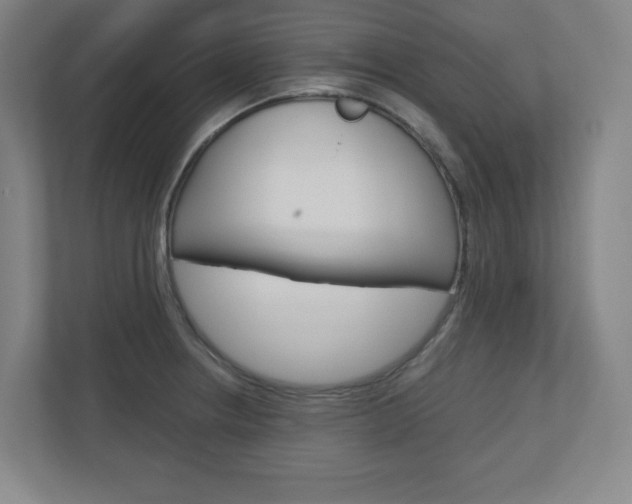 X0000110911234200906180959