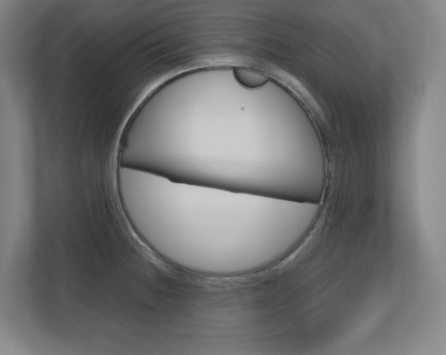 X0000110911236200906180959