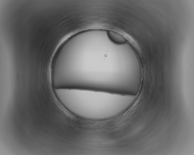 X0000110911238200906180959
