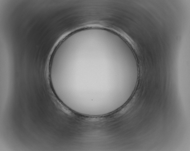 X0000110911240200906180959