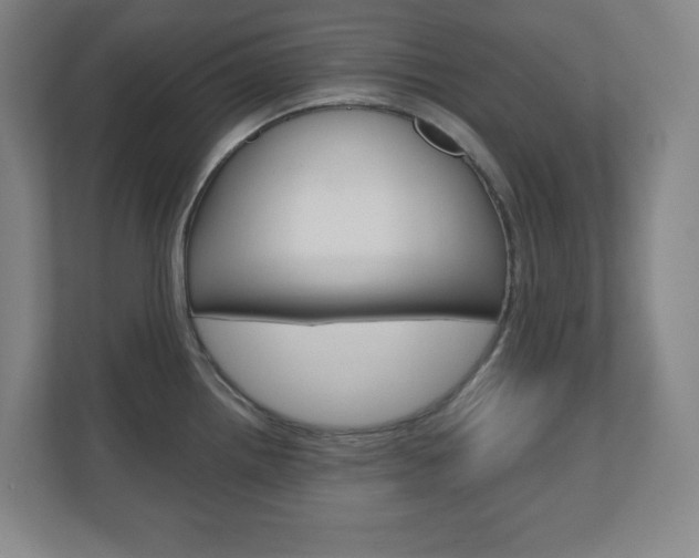 X0000110911242200906180959