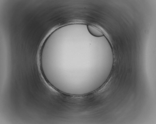 X0000110911243200906180959
